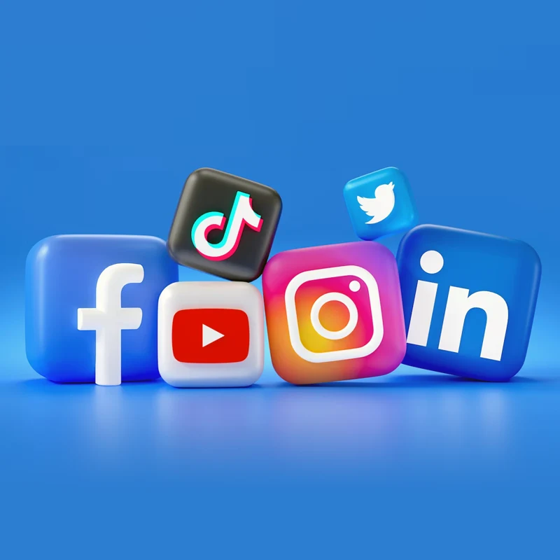 <span>Which Social Media Channels</span> Should Your Business Be Using?